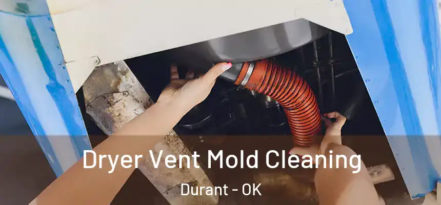  Dryer Vent Mold Cleaning Durant - OK