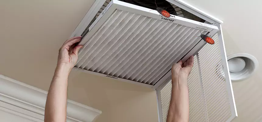 Preventive Cockroach-Proofing for Ducts in Durant