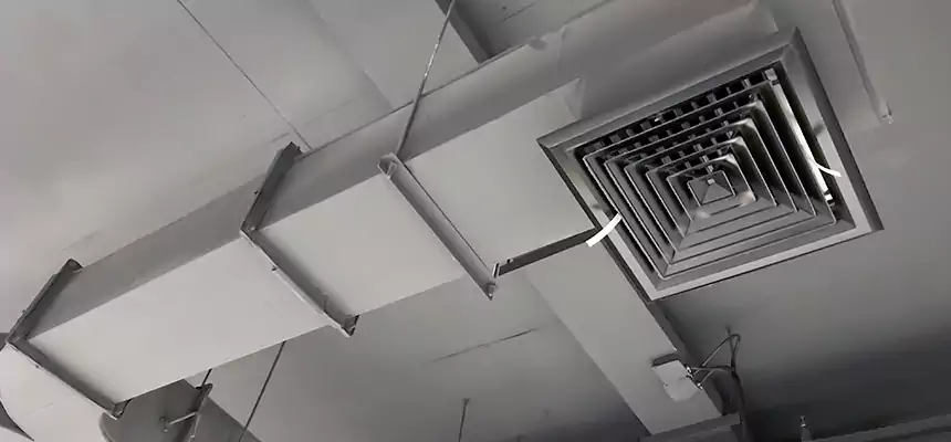 Restorative Allergy Relief Vent Cleaning – Coil, Blower & Housing Detail in Durant