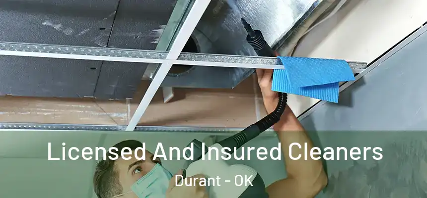  Licensed And Insured Cleaners Durant - OK