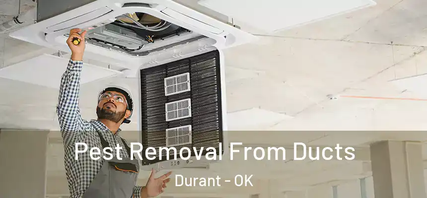  Pest Removal From Ducts Durant - OK