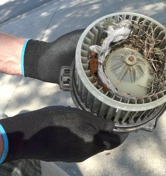 About Air Duct Mice Removal in Durant, OK