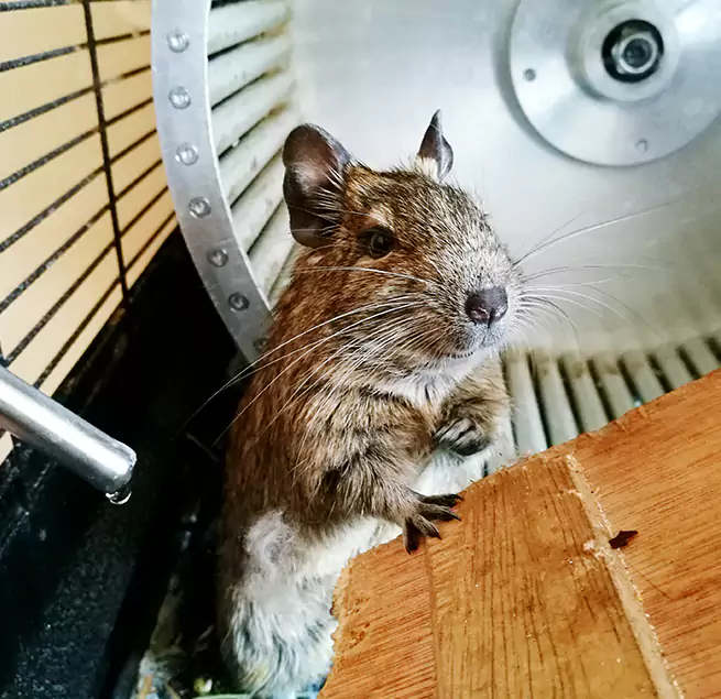 Why Homeowners & Businesses Trust Us Durant, OK?